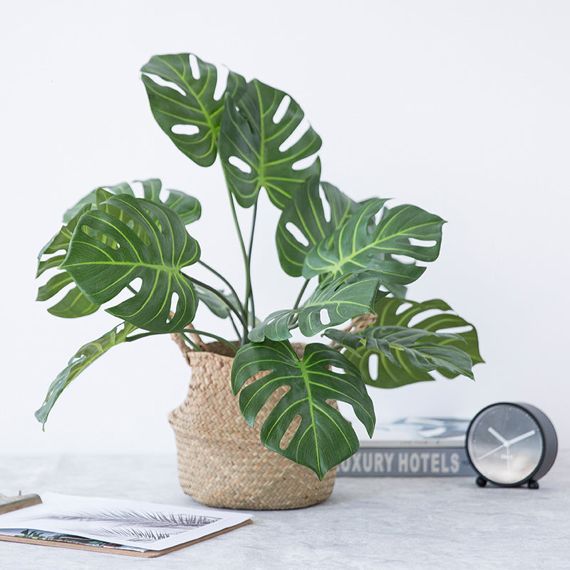 9-Piece Realistic Monstera Plant Set